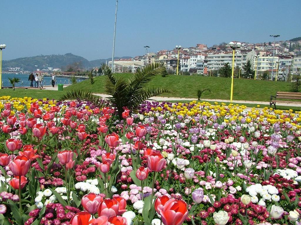 Kelesler Park Hotel Karadeniz Eregli Екстер'єр фото